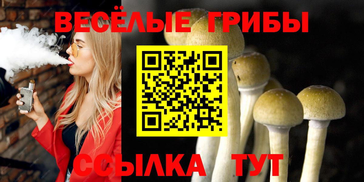 Псилоцибиновые грибы Cubensis Партизанск